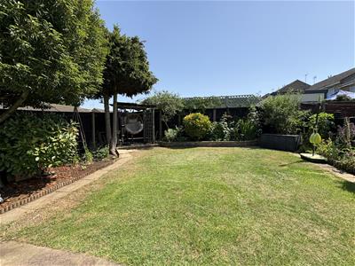 Picture 16